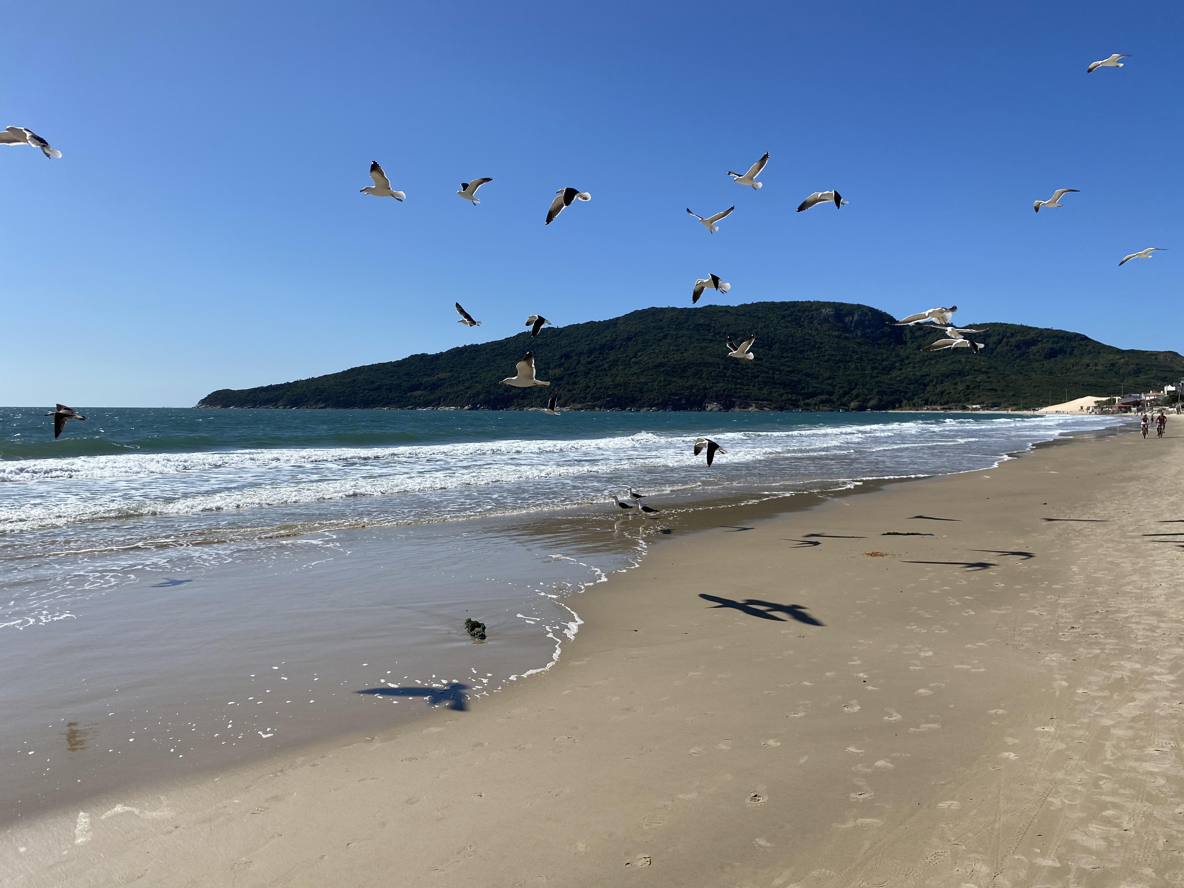 & Favareto Florianopolis